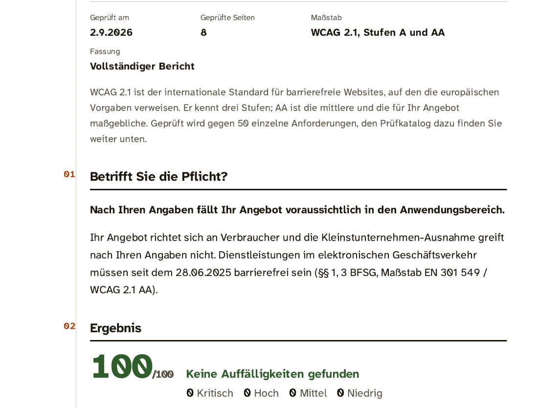 Erstes Blatt eines Prüfberichts: Kopfzeile mit Prüfdatum, Anzahl der geprüften Seiten und dem angelegten Maßstab, darunter die Einordnung, ob die Pflicht greift, und das Ergebnis als Zahl von 100.